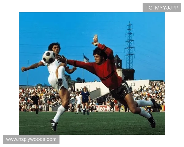 世界杯金靴奖得主：历史上的传奇射手与他们的辉煌瞬间