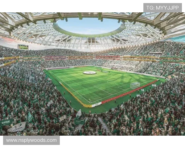 深入了解98世界杯比赛场馆：场馆设计、容量与比赛氛围全景解析